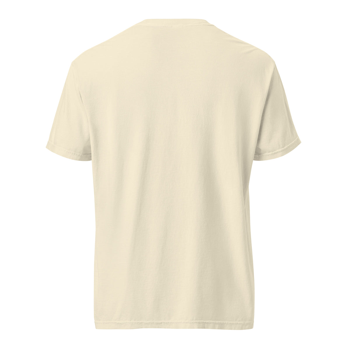 Ivory LKS Local Kindness Solidarity heavyweight tee — back view