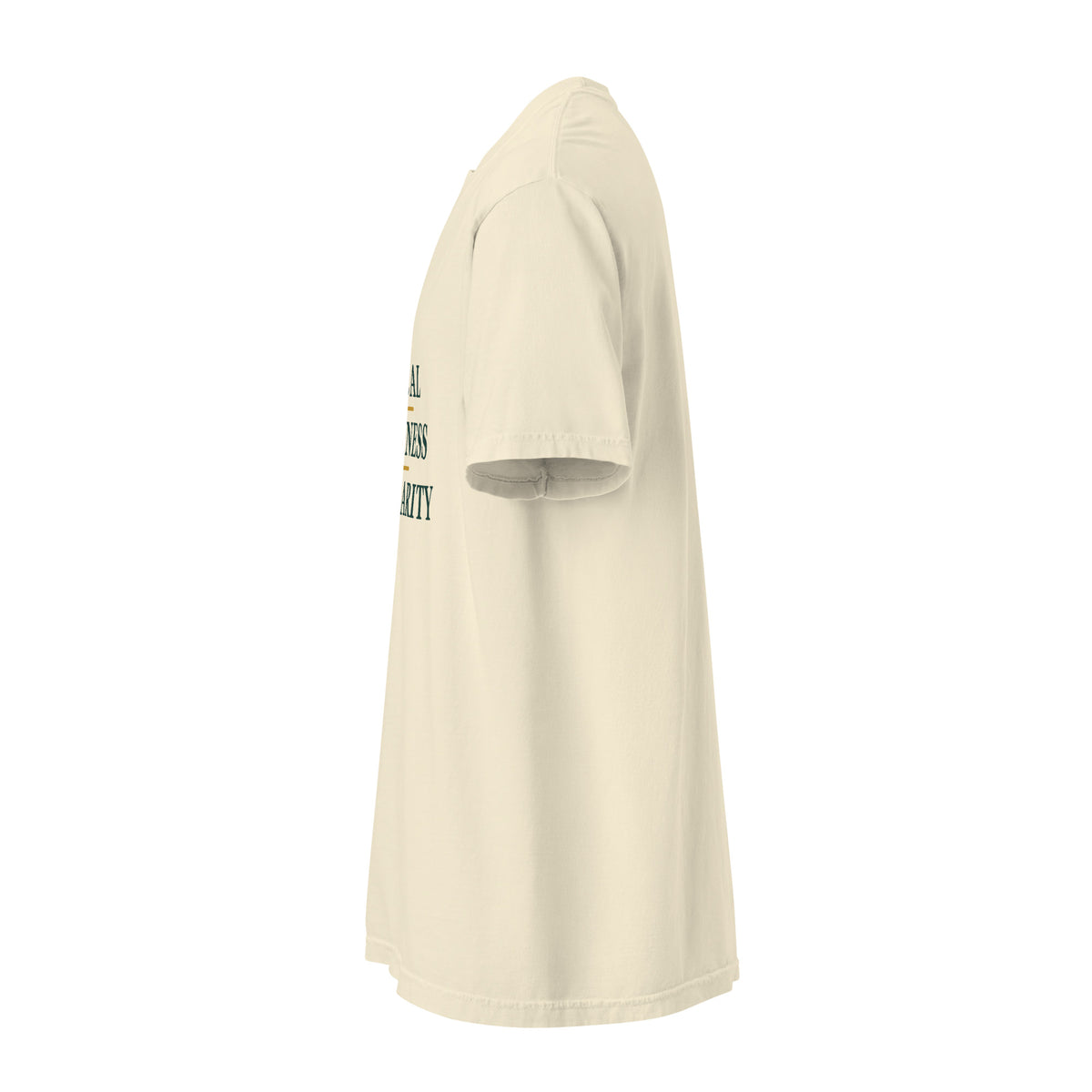 Ivory LKS Local Kindness Solidarity heavyweight tee — left-side view
